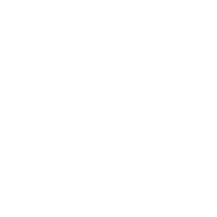 离子检测系统