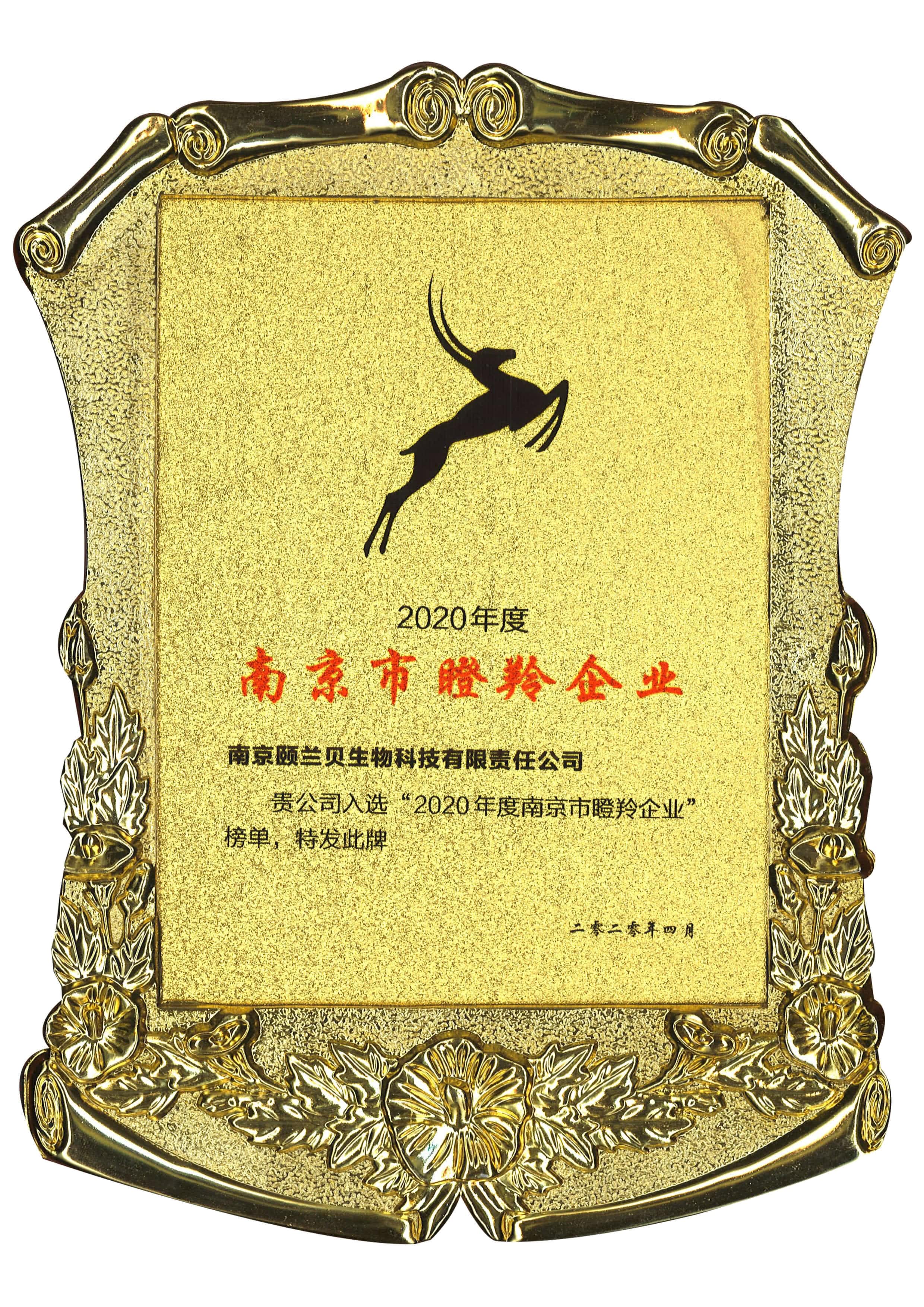 瞪羚企业证书